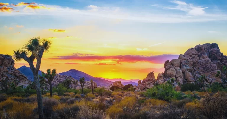 DSCR Loans Joshua Tree: Investor Financing for Desert STR Properties, Yucca Valley, Twentynine Palms & Real Estate Investors