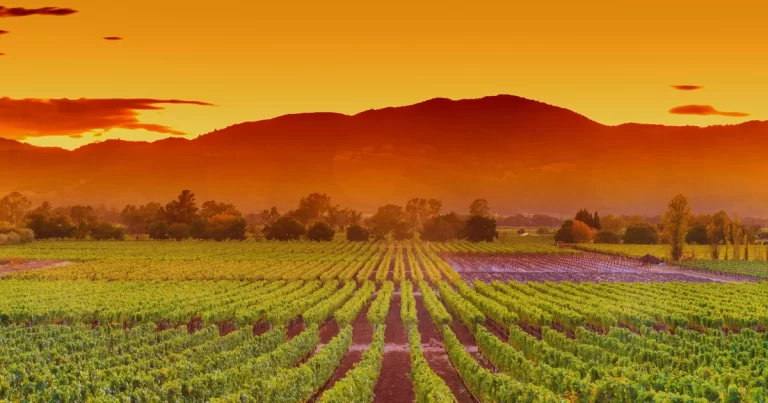 DSCR Loans Napa & Sonoma: Investor Financing for Wine Country STR, Healdsburg, Calistoga, Petaluma & Real Estate Investors