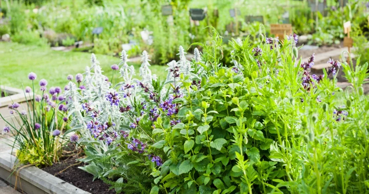 Spring 2025 Housing Market: What Buyers Need to Know